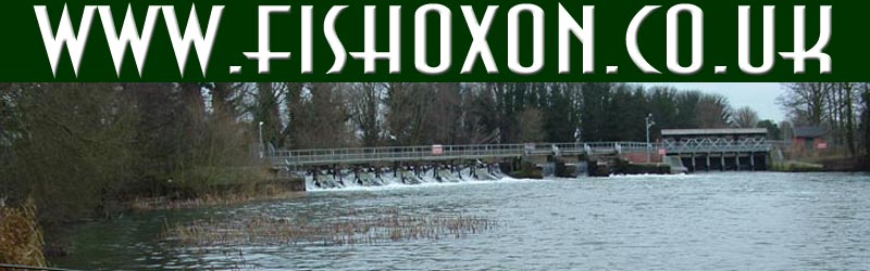 A winter weir pool in Abingdon, ideal for big Pike